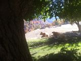 Ruta Sulayr 09-11-2013 13
